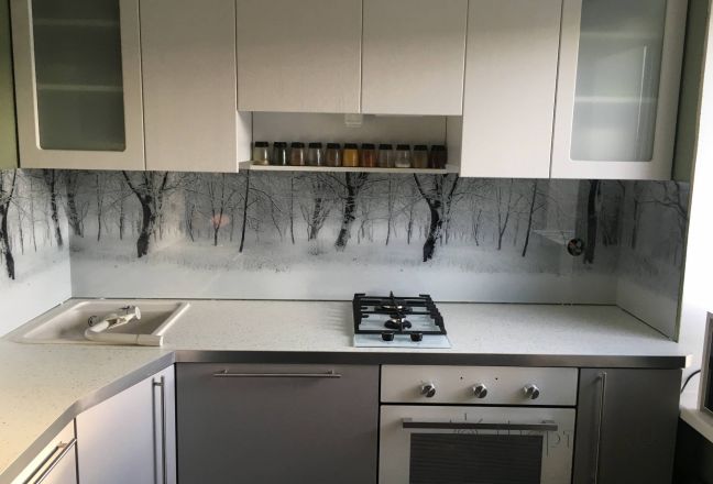 Стеновая панель фото: березы в снегу, заказ #КРУТ-2378, Серая кухня. Изображение 111726