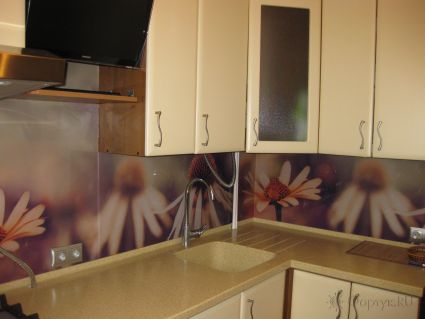Фартук с фотопечатью фото: крупные ромашки, заказ #ИНУТ-1294, Коричневая кухня.