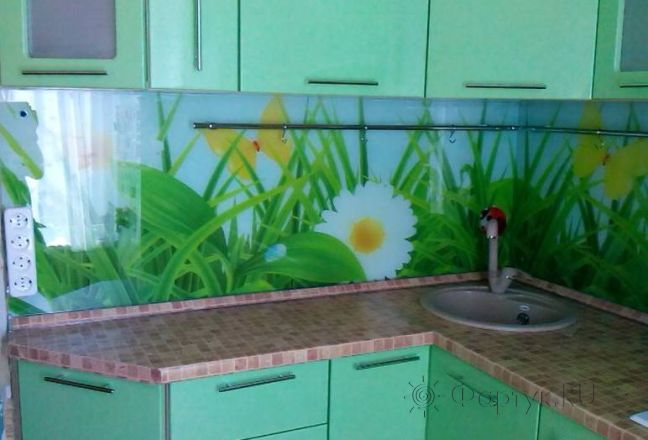 Скинали для кухни фото: крупные ромашки и бабочки на голубом фоне., заказ #SN-140, Зеленая кухня. Изображение 112592