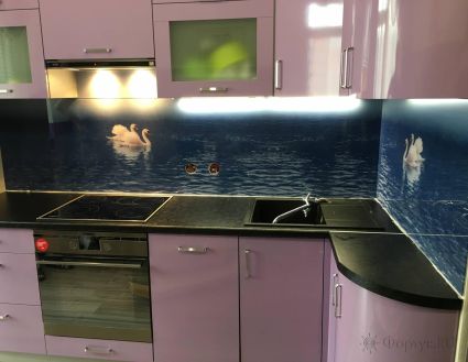 Фартук фото: лебеди в пруду, заказ #КРУТ-1432, Фиолетовая кухня.