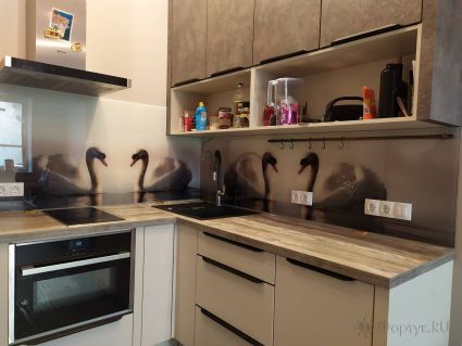 Стеновая панель фото: лебеди в пруду, заказ #ИНУТ-5961, Серая кухня.