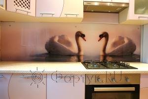 Фартук фото: лебединая пара., заказ #УТ-241, Фиолетовая кухня.