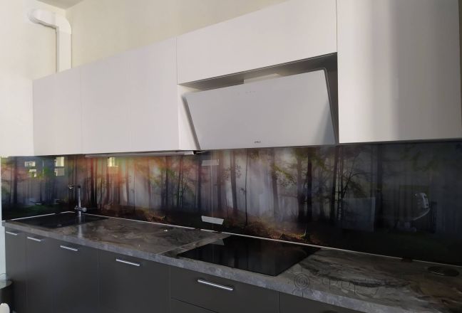 Стеновая панель фото: лес на рассвете, заказ #ИНУТ-9625, Серая кухня. Изображение 81970