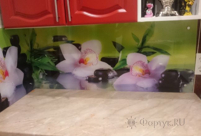 Скинали фото: орхидеи, заказ #КРУТ-068, Красная кухня. Изображение 197142