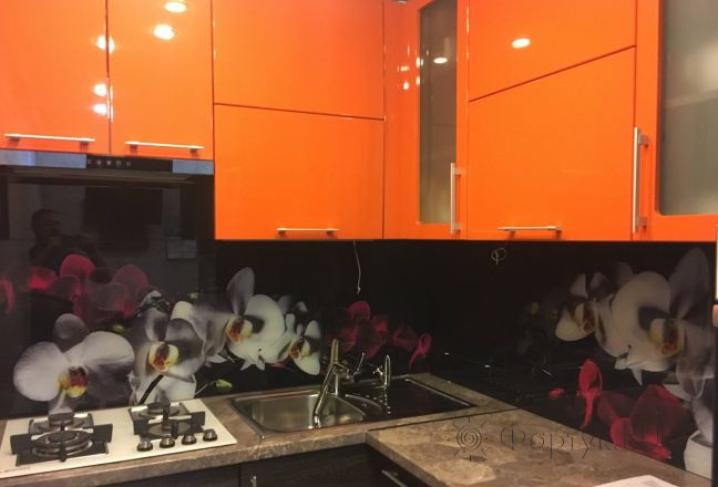 Фартук стекло фото: орхидеи, заказ #КРУТ-997, Оранжевая кухня. Изображение 186694