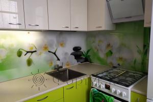 Скинали для кухни фото: орхидеи белые, заказ #ИНУТ-8276, Зеленая кухня.