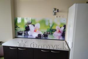 Фартук с фотопечатью фото: орхидеи на камнях, заказ #ИНУТ-117, Коричневая кухня.