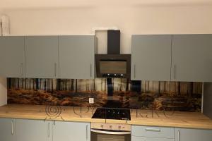 Стеновая панель фото: осенний лес, заказ #КРУТ-2836, Серая кухня.