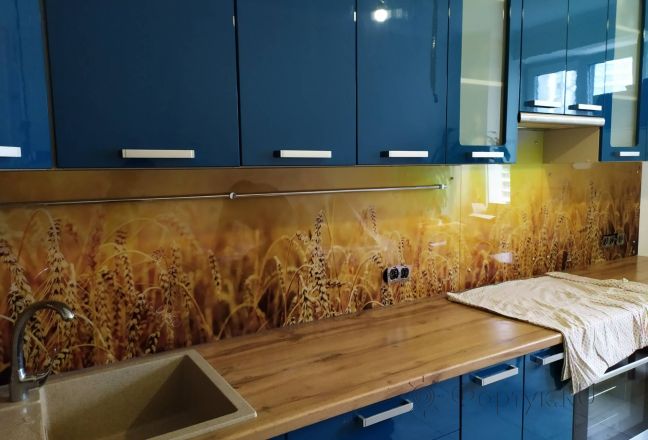 Стеклянная фото панель: пшеничное поле, заказ #ИНУТ-4150, Синяя кухня. Изображение 214674