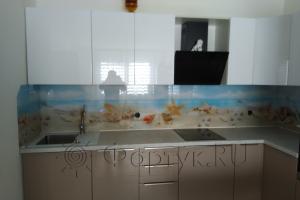 Фартук с фотопечатью фото: ракушки на морском берегу, заказ #ИНУТ-978, Коричневая кухня.
