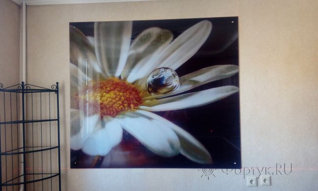 Фартук для кухни фото: ромашка с каплей росы, заказ #ИНУТ-1118, Белая кухня.