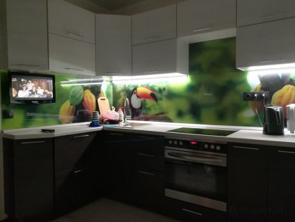 Фартук с фотопечатью фото: тукан на зеленом фоне, заказ #ИНУТ-182, Коричневая кухня.