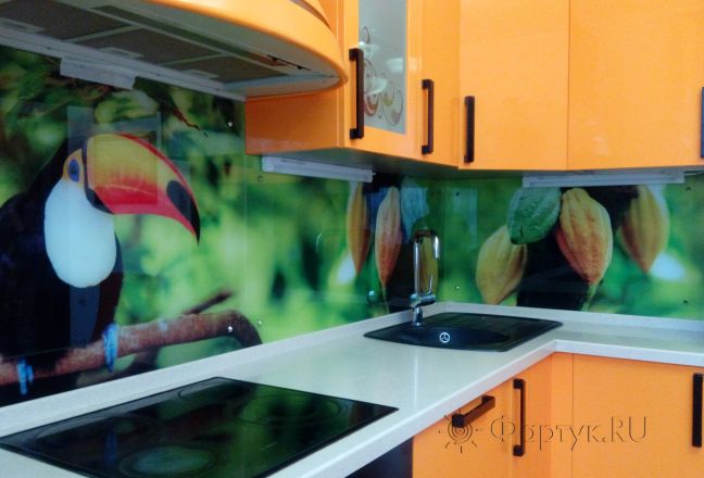 Фартук стекло фото: тукан на зеленом фоне, заказ #ИНУТ-224, Оранжевая кухня. Изображение 113348