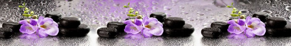 Скинали — Орхидеи, камни и капли дождя 