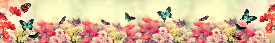 Скинали — Летнее разнообразие цветов и бабочки 