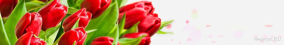 Скинали — Букет красных тюльпанов