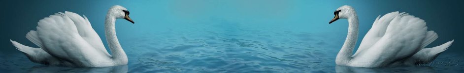 Скинали — Пара лебедей на воде