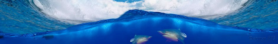 Скинали — Акулы, морская волна