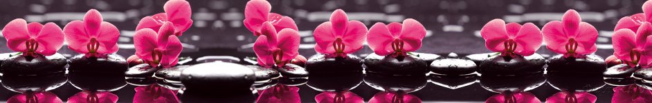 Скинали — Красные орхидеи на черных камнях