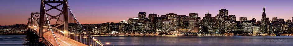 Скинали — Фиолетовая панорама Сан-Франциско