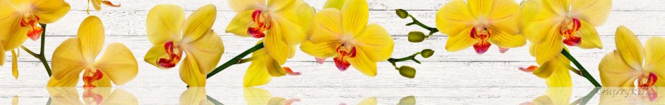 Скинали — Красивая желтая орхидея с красной серединой