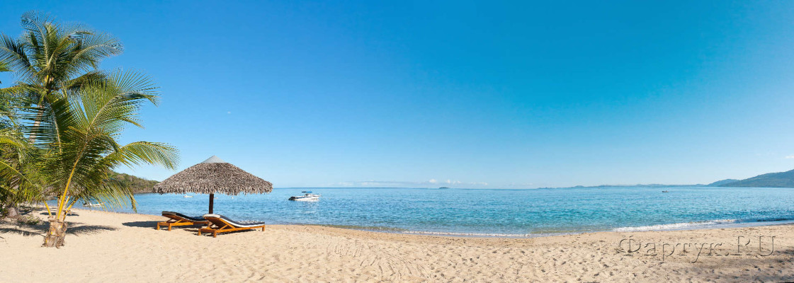 Скинали — Пляж с пальмами и песком