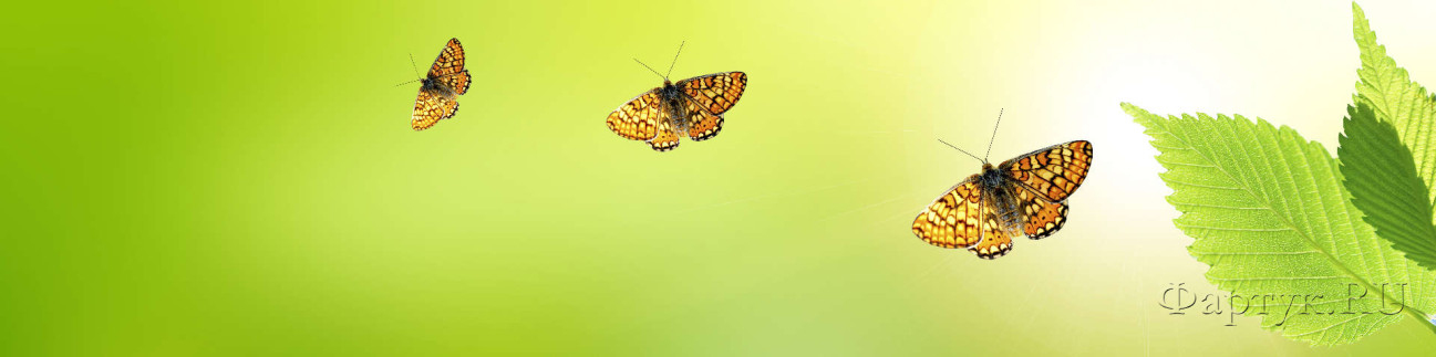 Скинали — Бабочки на зеленом фоне