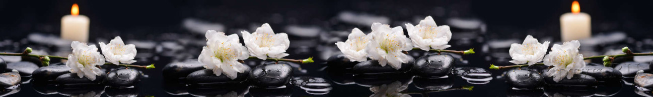 Скинали — Нежные белые цветы на черных камнях 