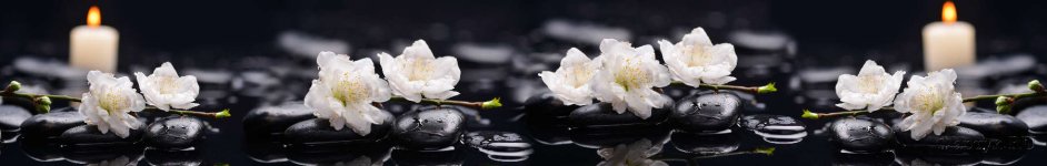 Скинали — Нежные белые цветы на черных камнях 