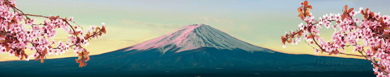 Скинали — Гора Фудзияма