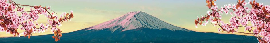 Скинали — Гора Фудзияма