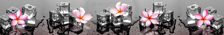 Скинали — Таящие льдинки и орхидеи на темном фоне 