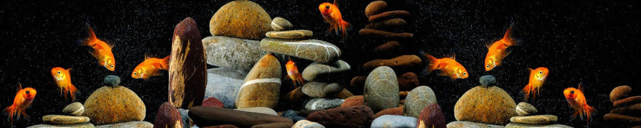 Скинали — Золотые рыбки и камни 