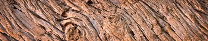Скинали — Текстура дерева