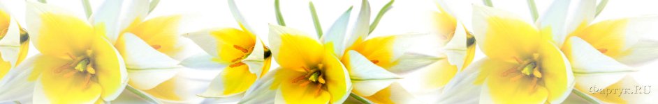 Скинали — Красивые цветы