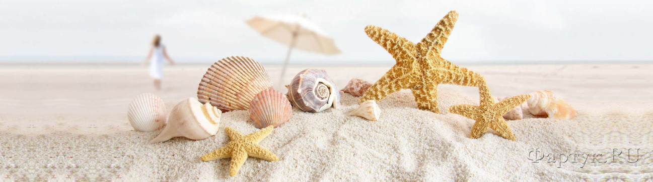Скинали — Ракушки и морские звезды на песчаном  берегу