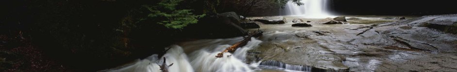 Скинали — Бурная река в густой чаще деревьев