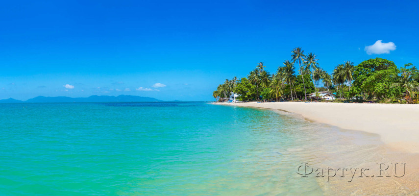 Скинали — Тропический пляж с пальмами на острове Самуи, Таиланд
