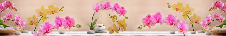 Скинали — Невероятно нежные орхидеи