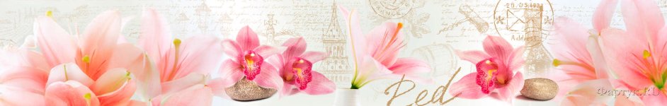 Скинали — Красивые цветущие цветы лилии на необычном фоне