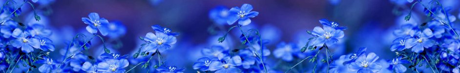 Скинали — Синие цветы на синем фоне