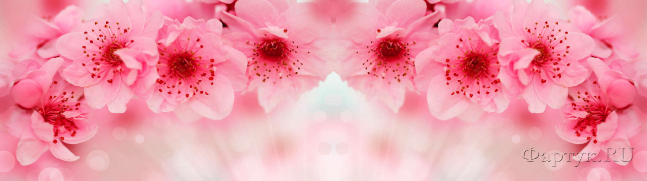 Скинали — Крупные розовые цветы
