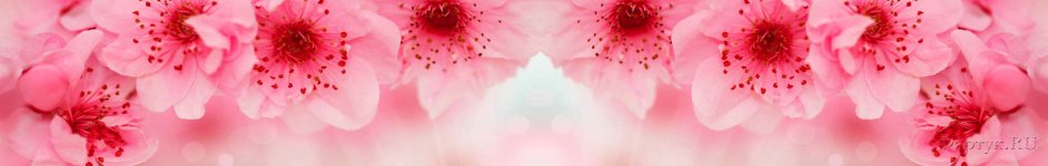 Скинали — Крупные розовые цветы
