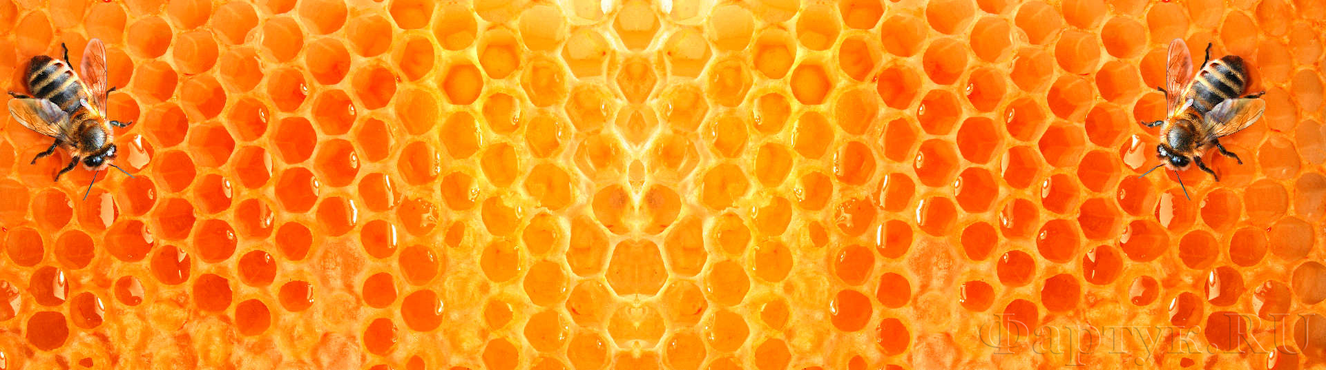 Пчелиные соты и пчелы