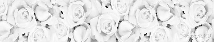 Скинали — Фон белоснежные розы 