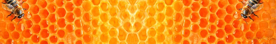 Скинали — Пчелиные соты и пчелы