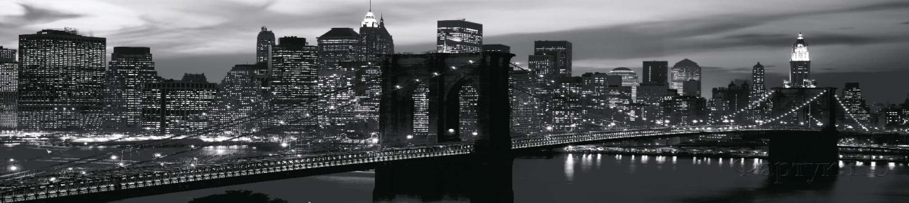 Скинали — Черно-белый Бруклинский мост