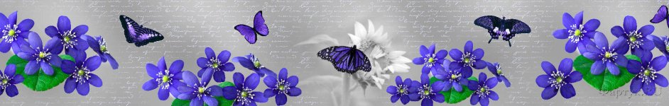 Скинали — Фиолетовые бабочки на фиолетовых цветах