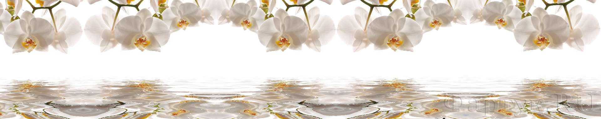 Белые орхидеи над водой
