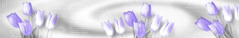 Скинали — Лилово-белые тюльпаны и надписи 